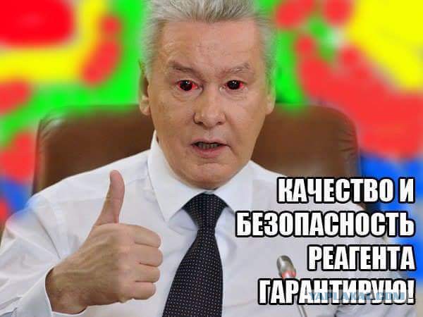 Народная любовь к законно избранному мэру Собянину не знает границ
