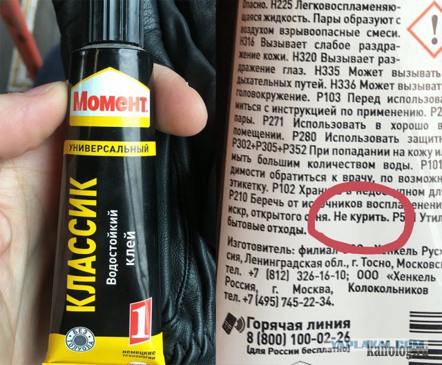 Подборка любопытных фотографий со всего света
