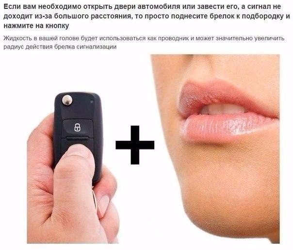 Порция картинок