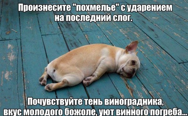 Трезвенникам, язвенникам - вход воспрещён!