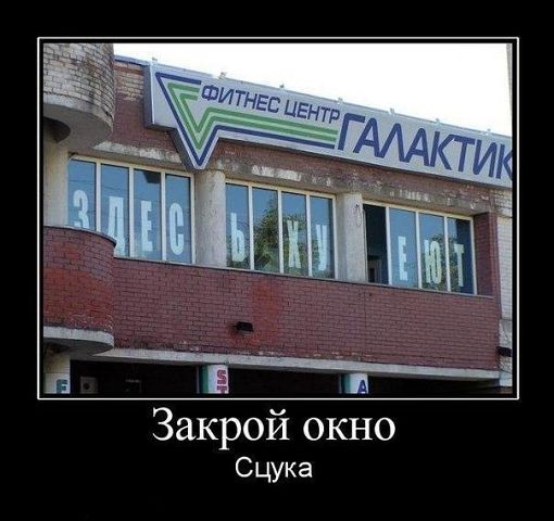 Подборка интересных и веселых картинок