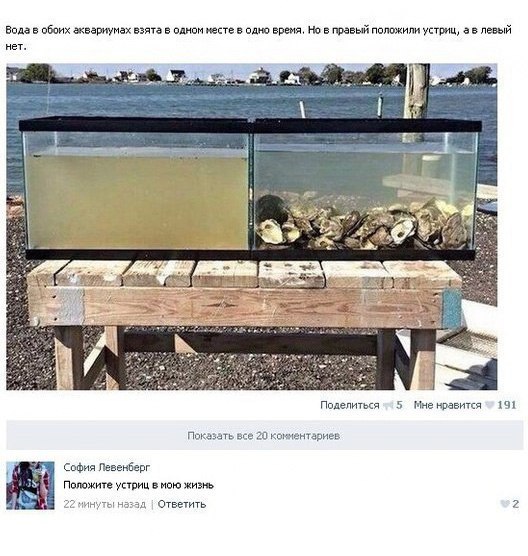 Картинки на пятницу