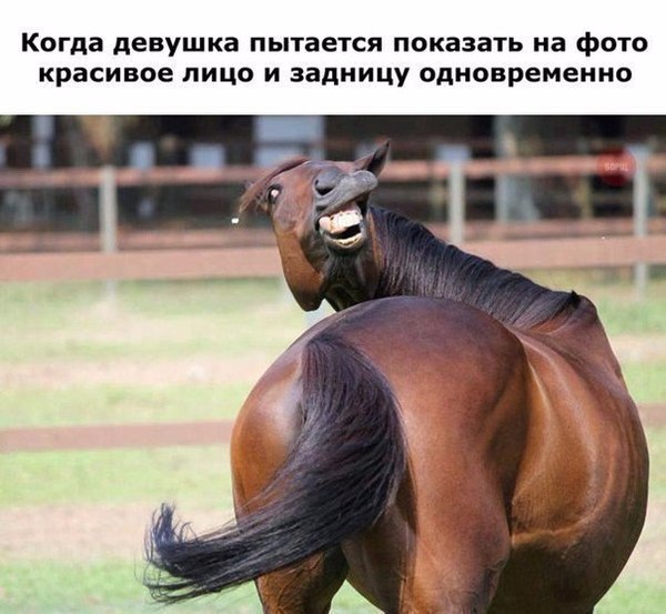 Картинки. Тупые. Очень. 18+ продолжение