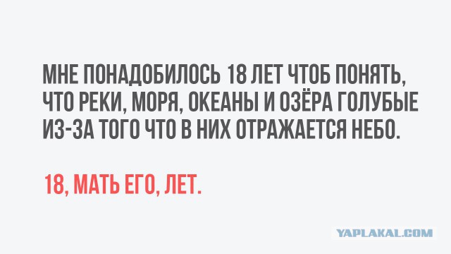 Очередная порция перлов из сети