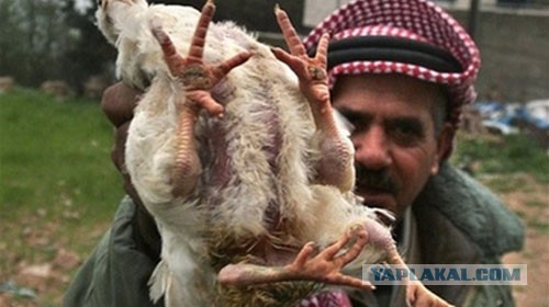 Давайте не будем врать про СССР и сравним уровень жизни СССР и США