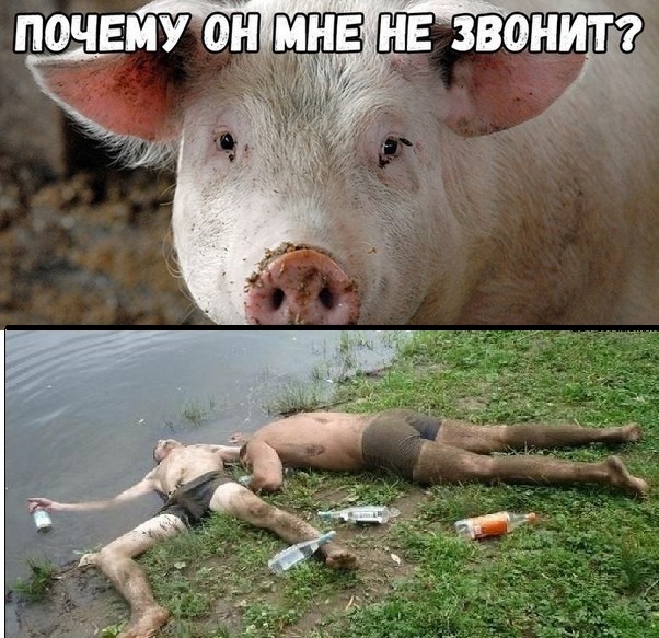 Немного деграданса - 8