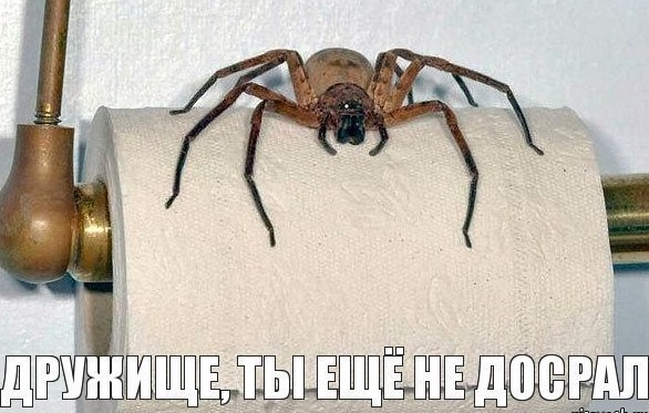 В чёрном-чёрном городе...