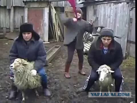 В Татарстане приняли ПЕРВЫЙ отказ от изучения татарского языка