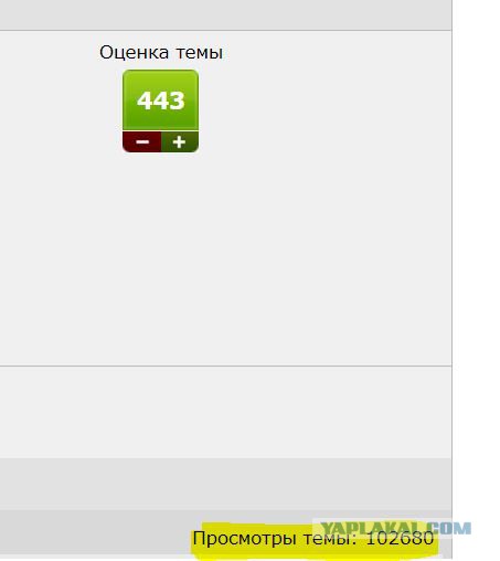 Рената Литвинова и Земфира поженились