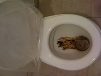 20 ситуаций из повседневной жизни, способных выбесить кого угодно