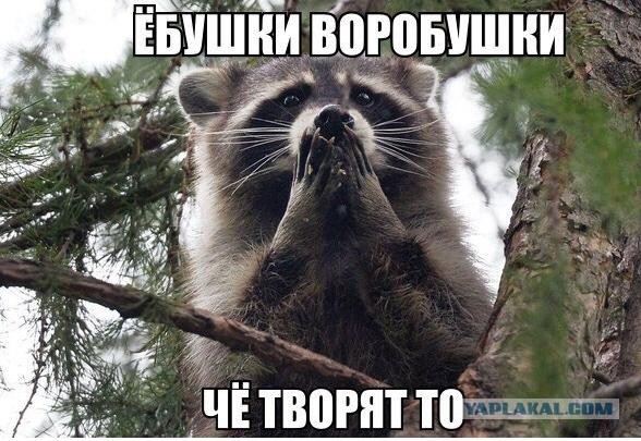 Плохо жилось в СССР-2.