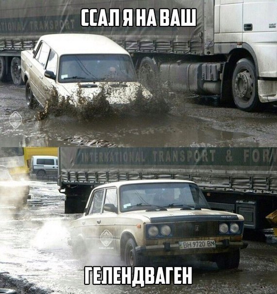 Прикольные картинки абавсём