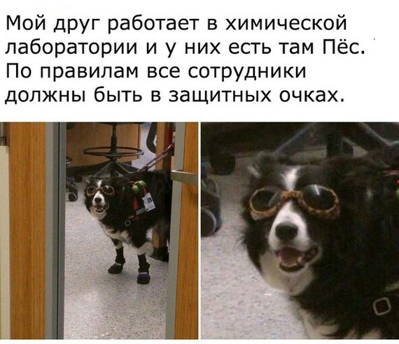 Подборка интересных и веселых картинок