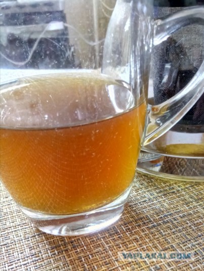 Копорский чай