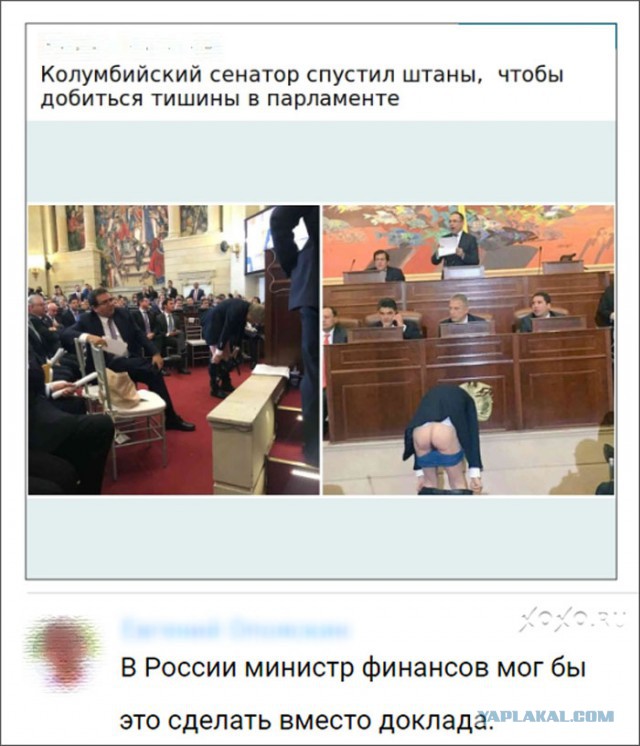 Прикольные комментарии и высказывания из Сети