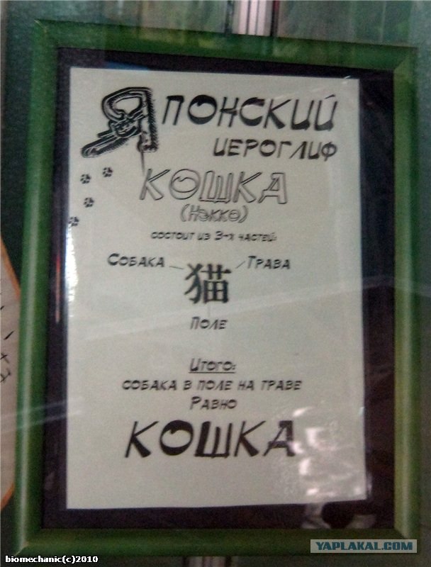 Котятовторник, 25.05.2010
