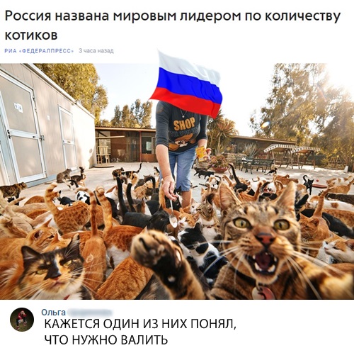 Картинок пост