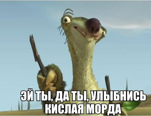 Мангуст отбился от нападения четырех львов в Кении