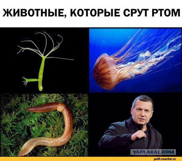 Соловьев зассал