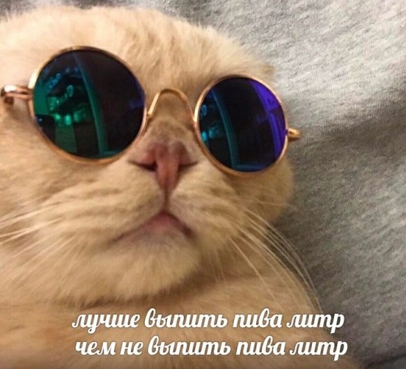 Картинки с надписями, истории и анекдоты