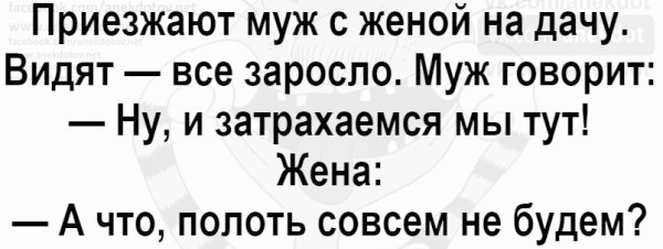 Картинки с надписями и анекдоты