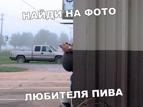13412275.jpg