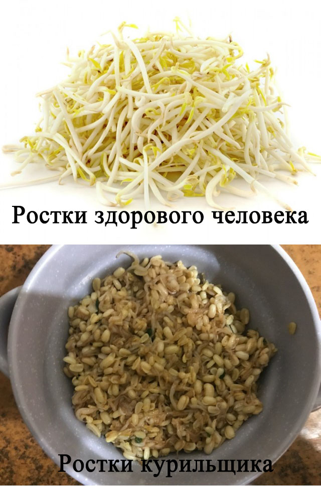 Пад Тай