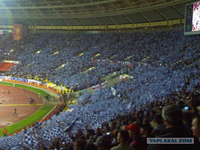 Лига Чемпионов 2008/2009