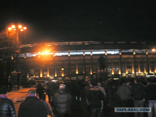 На трибунах