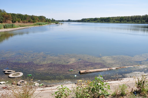 Живу у моря