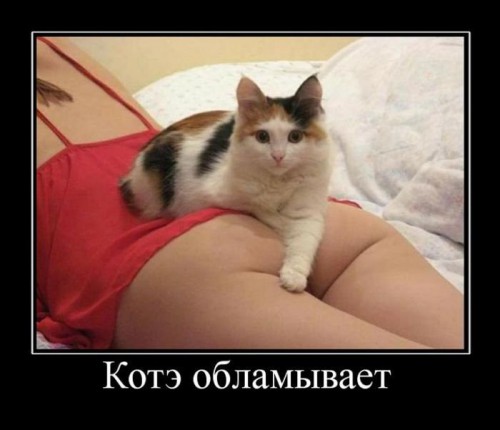Очень пошлые картинки про это.18+