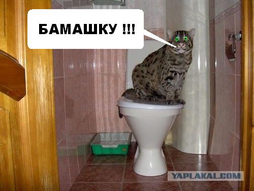 Отжабьте меня пожалуйста