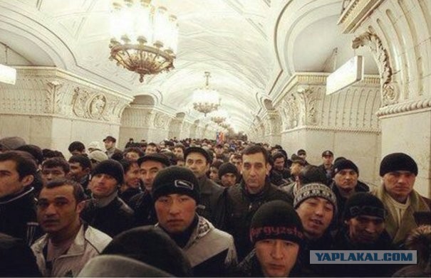 Депутат рады одобрила стерилизацию безработных