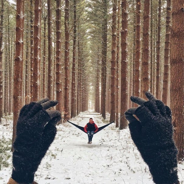 25 занимательных фотографий, в которых столько всего интересного, что вы точно не разочаруетесь
