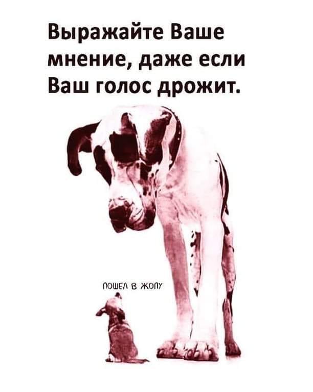 Картинки и мемы для настроения 017