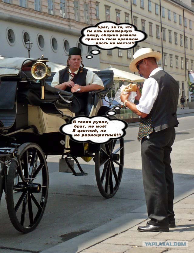 Фотожаба: бутерброд