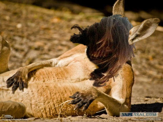 Обработайте фото