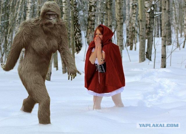 Фотожаба: "Заплутала"