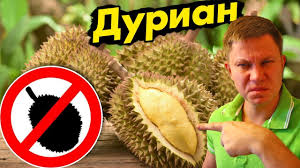 Пробуем сельдь "Сюрстрёмминг"