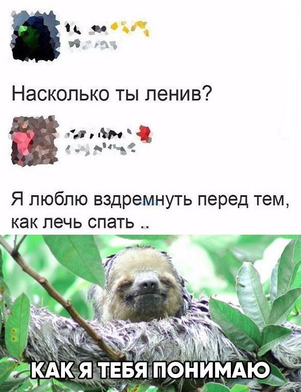 Весёлый полтишок 4.04