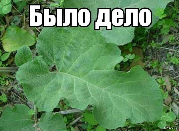 Самая необходимая в походе вещь, коллеги!