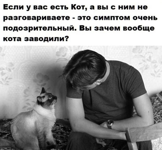Почему свободные мужчины раздражают женщин