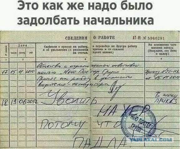 Так себе картинки 19.06.21