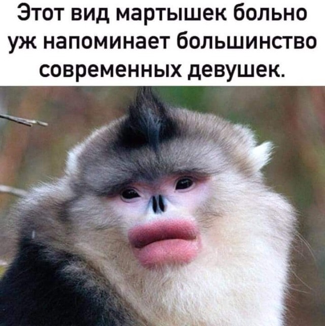 В Одессе определили победительниц конкурса «Миссис Всемирная 2021».