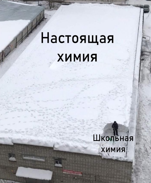 Весёлый полтишок 02.11