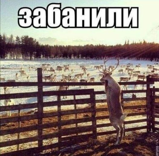 Картинки на пятницу 17.12.2021 разные