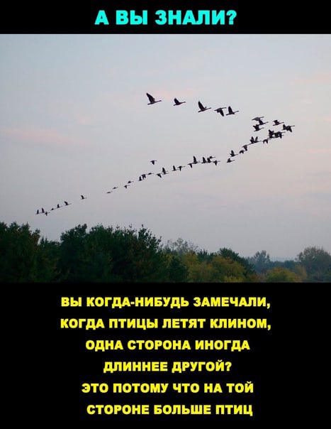 Картинки и мемы для настроения - 25
