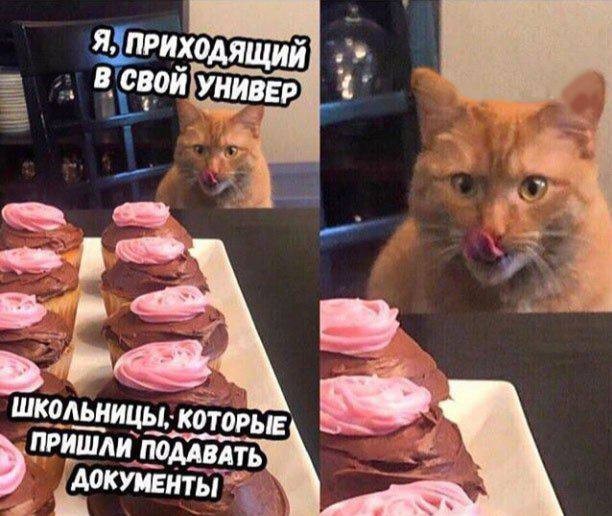 Подборка Чёрного Юмора 15.06.22