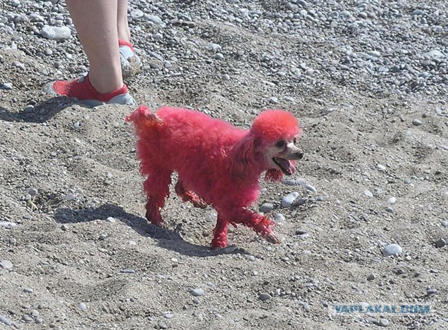 Южный берег Крыма