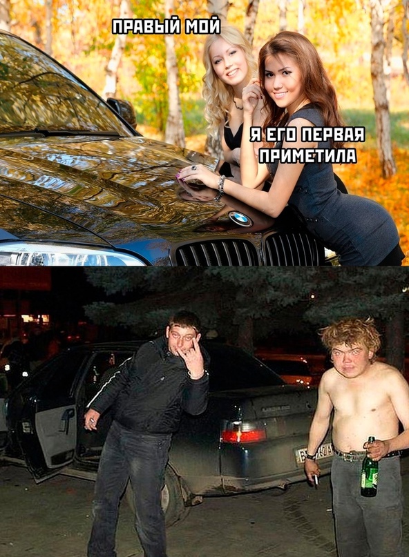 Весёлый полтишок 08.11.22